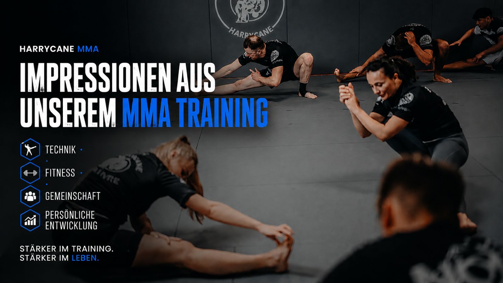 Vorschau Bild für Video Impressionen MMA Training Herford